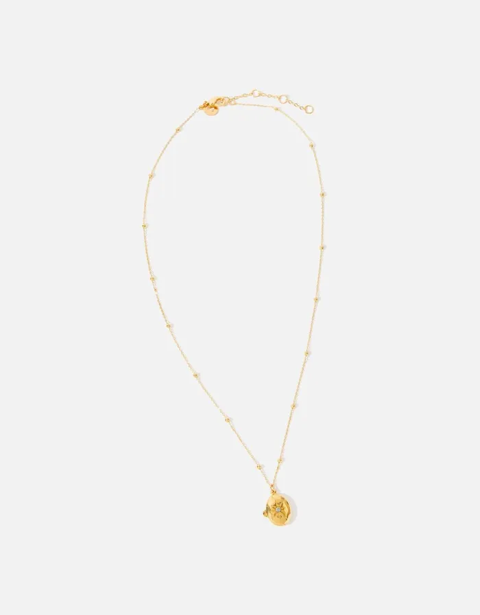 Accessorize GoldPlated Star Locket Pendant Necklace Women Necklaces