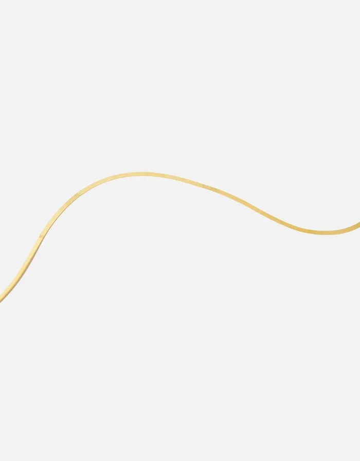 Accessorize Gold Vermeil Omega Chain Necklace Women Necklaces
