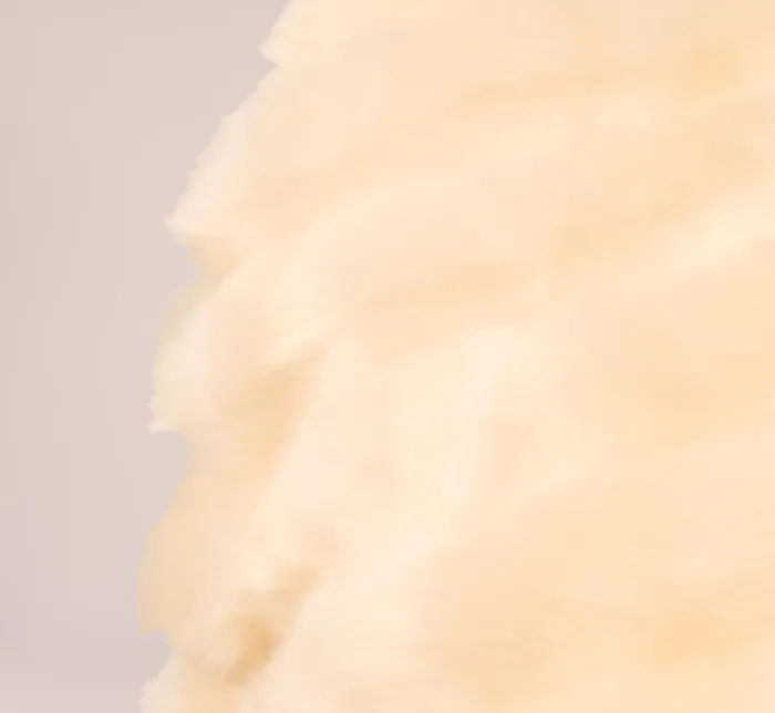 Adrianna Papell Shawls and Wraps Faux Fur Wrap With Stone Brooch In Champagne 8211 Women