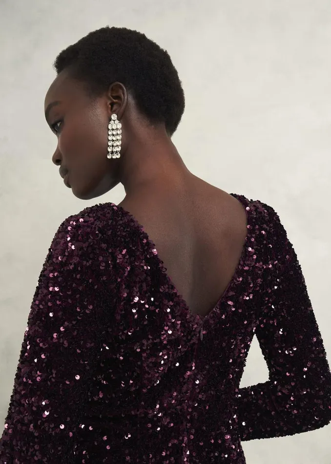 Dresses and Jumpsuits Women HOBBS Sawyer Sequin Dress Warm Plum