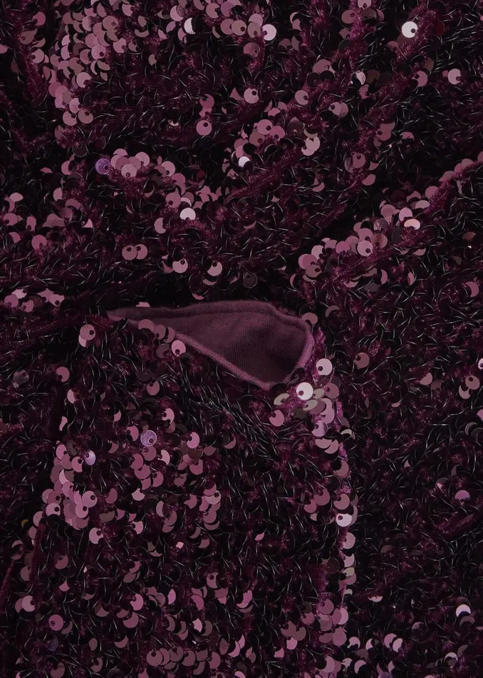 Dresses and Jumpsuits Women HOBBS Sawyer Sequin Dress Warm Plum