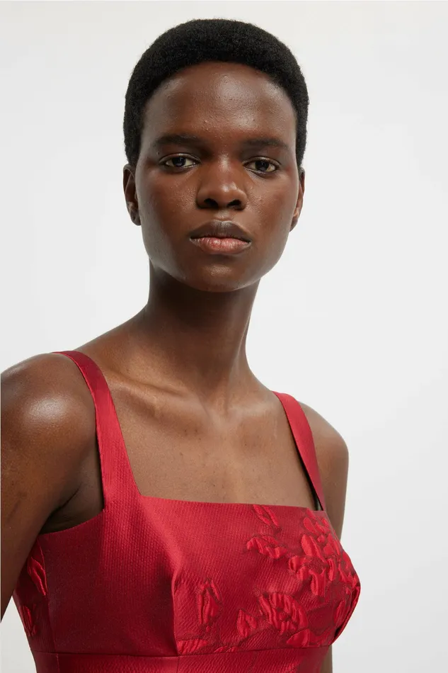 Gowns Women Emilia Wickstead Micheline Dress In Red Graphic Rose Jacquard