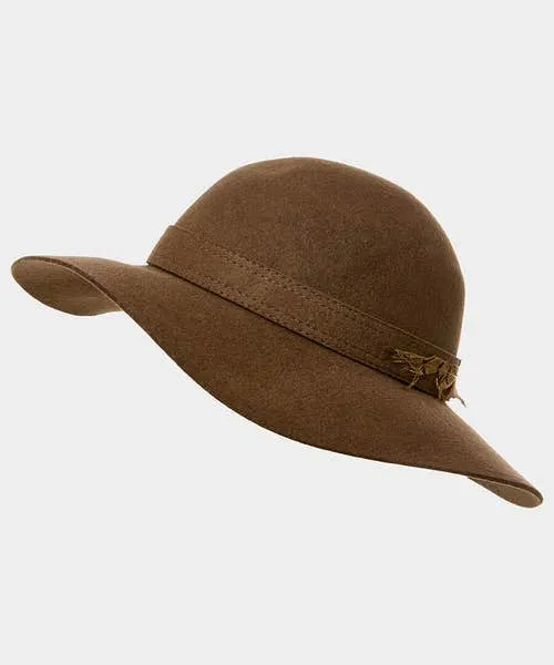 Joebrowns Accessories and Jewellery Apparel Alexis Feather Trim Hat Chocolate