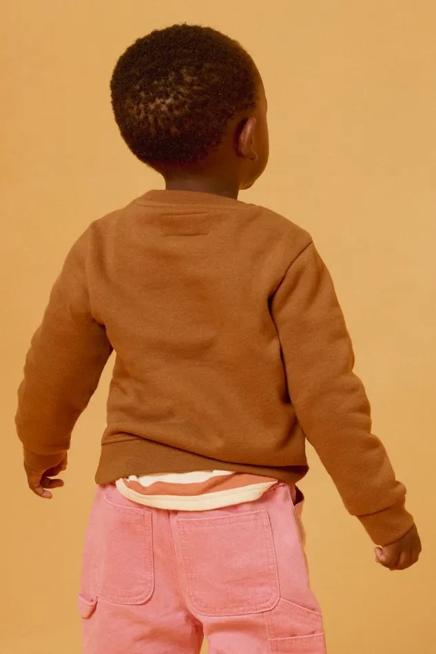 Men Bonobos Crew and VNeck Sweaters Geoffrey Kids Supersoft Crew Teddy Brown