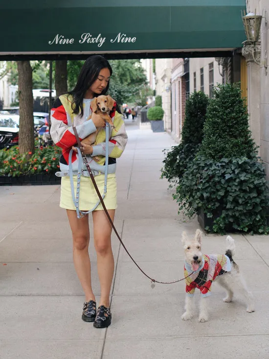 Pet Women Lisa Says Gah Dog Sweater Cirque Argyle