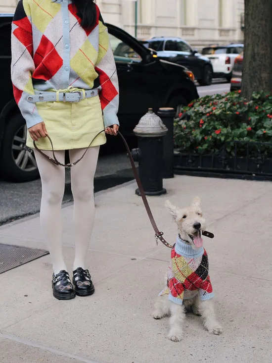 Pet Women Lisa Says Gah Dog Sweater Cirque Argyle