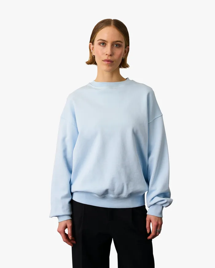 Women Colorfulstandard Organic Oversized Crew 8211 Misty Brown Crewneck Sweatshirts