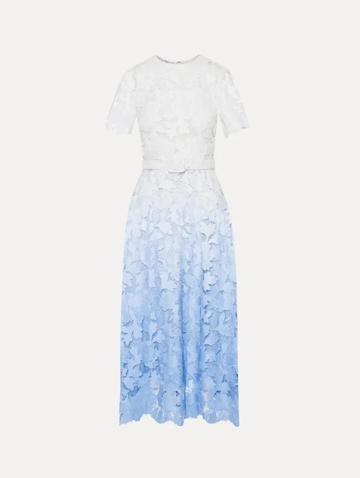 Women Dresses Oscar De La Renta Ombr Peony Guipure Dress Soft Blue