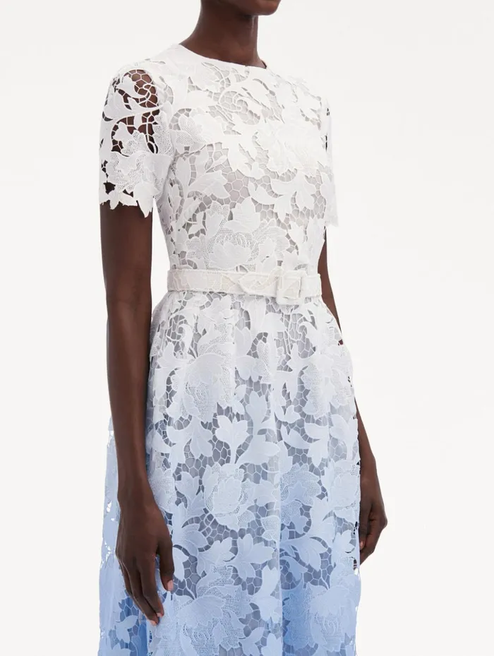 Women Dresses Oscar De La Renta Ombr Peony Guipure Dress Soft Blue Women Dresses Oscar De La Renta Ombr Peony Guipure Dress Soft Blue