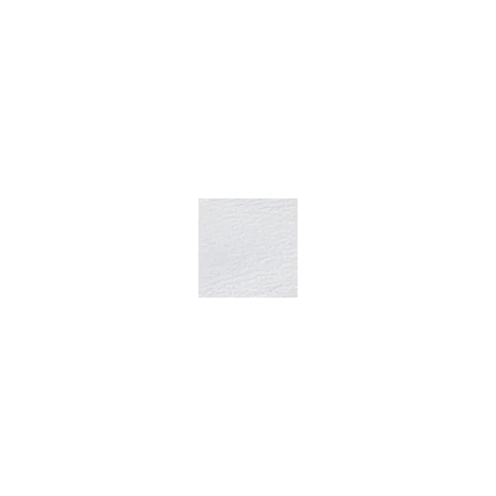 Women Moda In Pelle Platform Trainers Aneeba White Leather