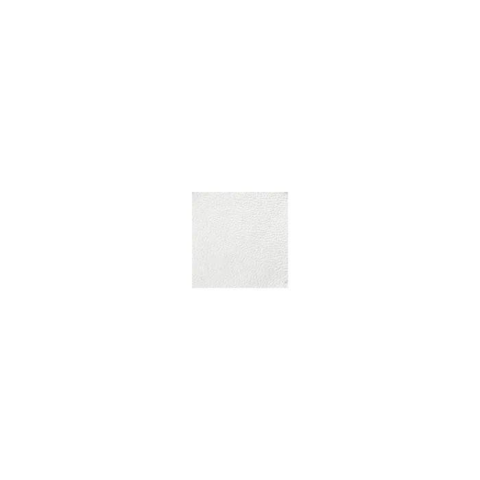 Women Moda In Pelle White Trainers Brier White Porvair
